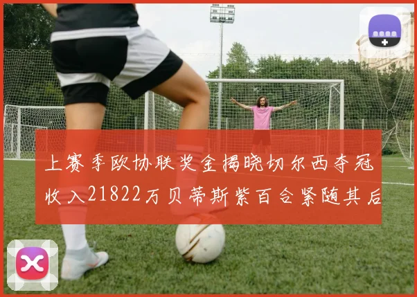 上赛季欧协联奖金揭晓切尔西夺冠收入21822万贝蒂斯紫百合紧随其后
